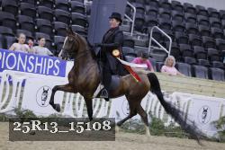 25R13_15108 thumbnail