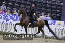 25R13_15109 thumbnail