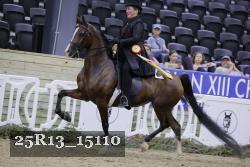 25R13_15110 thumbnail