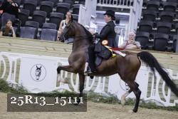 25R13_15111 thumbnail