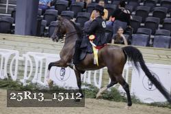 25R13_15112 thumbnail