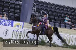 25R13_15113 thumbnail