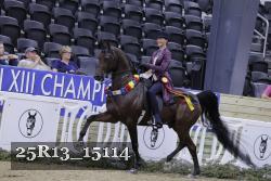 25R13_15114 thumbnail
