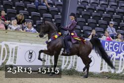 25R13_15115 thumbnail