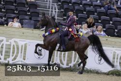 25R13_15116 thumbnail