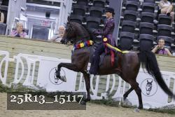 25R13_15117 thumbnail