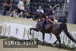 25R13_15118 thumbnail