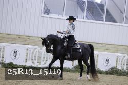 25R13_15119 thumbnail