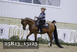 25R13_15125 thumbnail