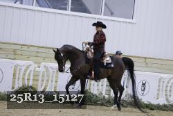 25R13_15127 thumbnail