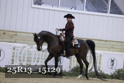 25R13_15129 thumbnail
