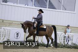 25R13_15131 thumbnail
