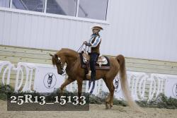 25R13_15133 thumbnail