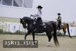 25R13_15137 thumbnail
