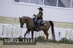 25R13_15141 thumbnail