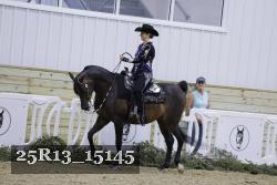 25R13_15145 thumbnail