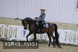 25R13_15151 thumbnail