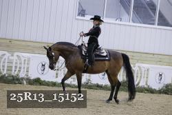 25R13_15152 thumbnail