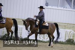 25R13_15164 thumbnail