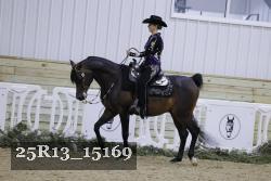 25R13_15169 thumbnail