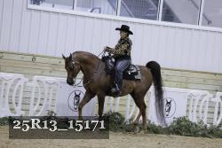 25R13_15171 thumbnail