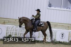 25R13_15172 thumbnail