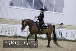 25R13_15173 thumbnail
