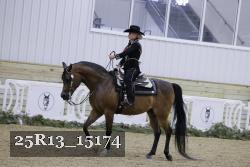 25R13_15174 thumbnail