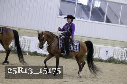 25R13_15175 thumbnail