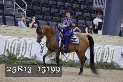 25R13_15199 thumbnail