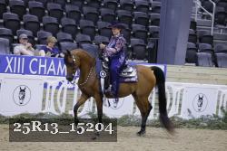 25R13_15204 thumbnail