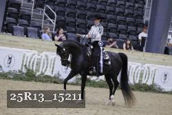 25R13_15211 thumbnail