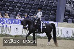 25R13_15215 thumbnail
