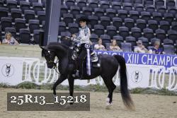 25R13_15218 thumbnail