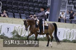 25R13_15223 thumbnail