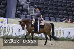 25R13_15225 thumbnail