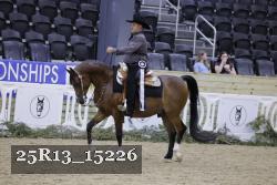 25R13_15226 thumbnail