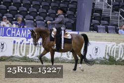 25R13_15227 thumbnail