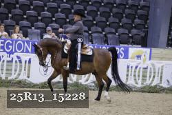 25R13_15228 thumbnail