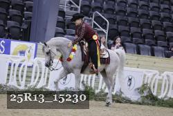 25R13_15230 thumbnail