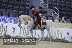 25R13_15231 thumbnail