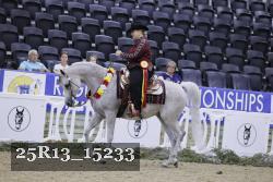 25R13_15233 thumbnail