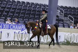 25R13_15236 thumbnail
