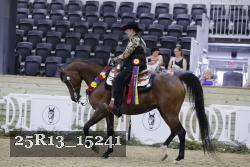 25R13_15241 thumbnail
