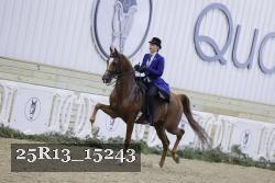 25R13_15243 thumbnail