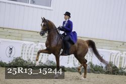 25R13_15244 thumbnail