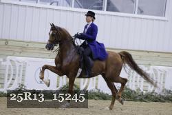 25R13_15245 thumbnail