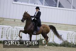 25R13_15246 thumbnail