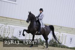 25R13_15247 thumbnail