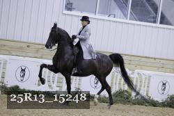 25R13_15248 thumbnail